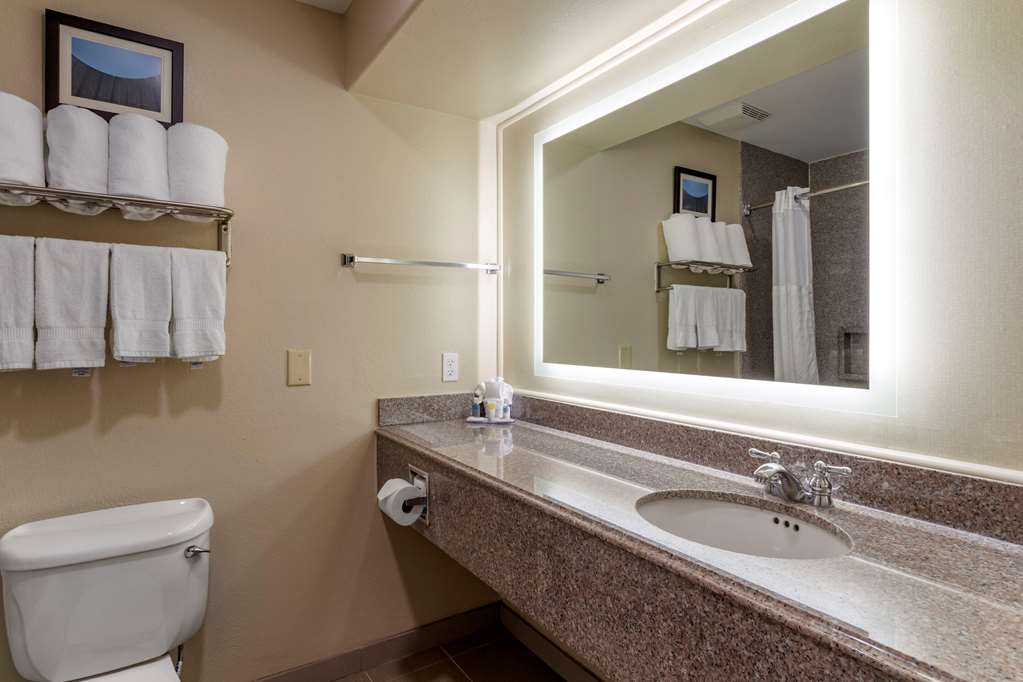 Comfort Suites Houston near Medical Center NRG Stadium - photo 12