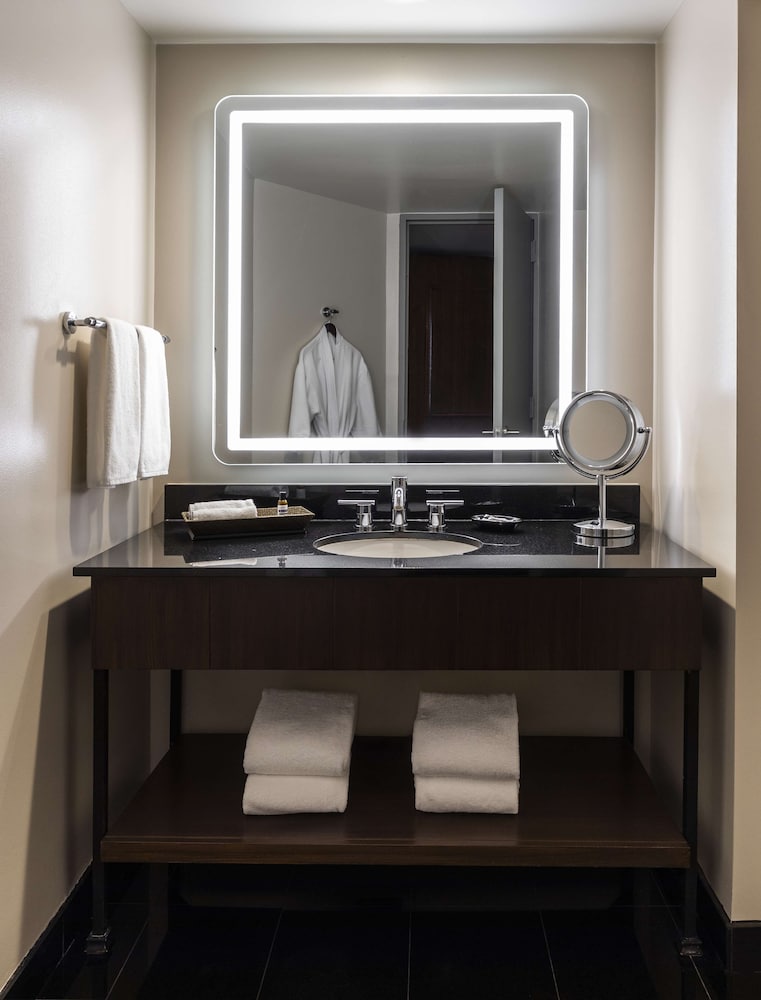 Hyatt Regency Houston Downtown - photo 29