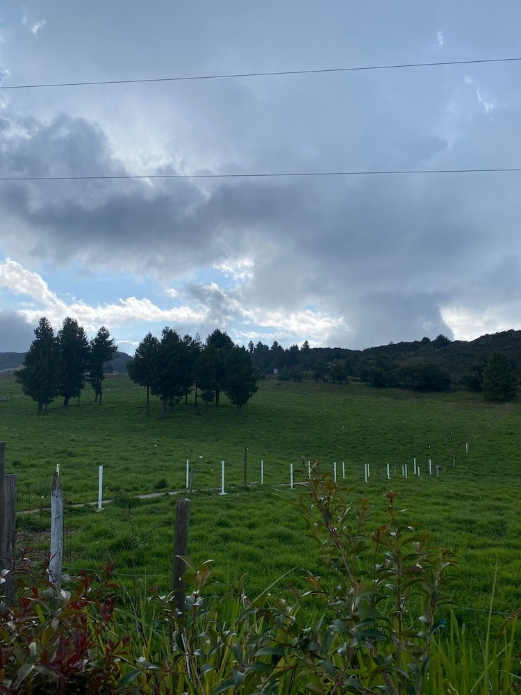 El Prado Glamping — Unknown City — photo 5