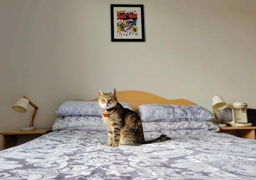 Central Stay with Free Parking Private Room in Shared Flat