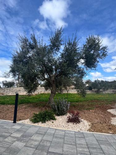 Alberobbè luxury rooms in Alberobello, Italy