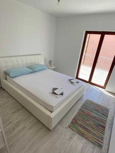 Mimosa in Orebic, Croatia