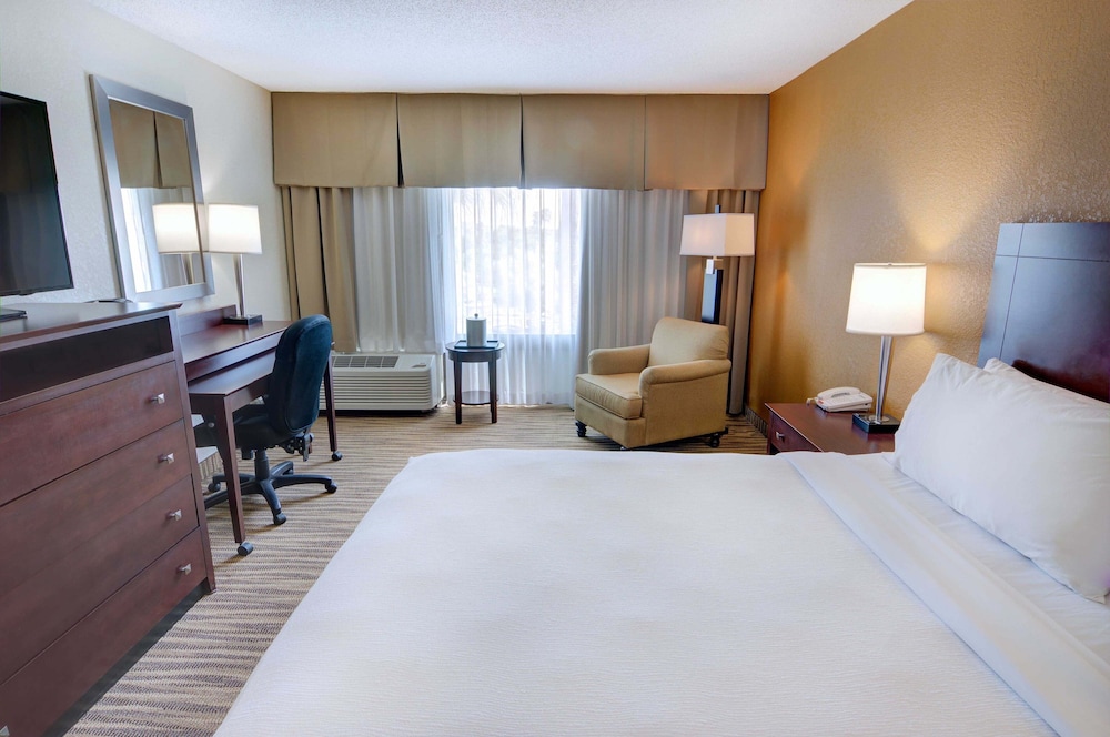 Holiday Inn St Petersburg N Clearwater by IHG - photo 20