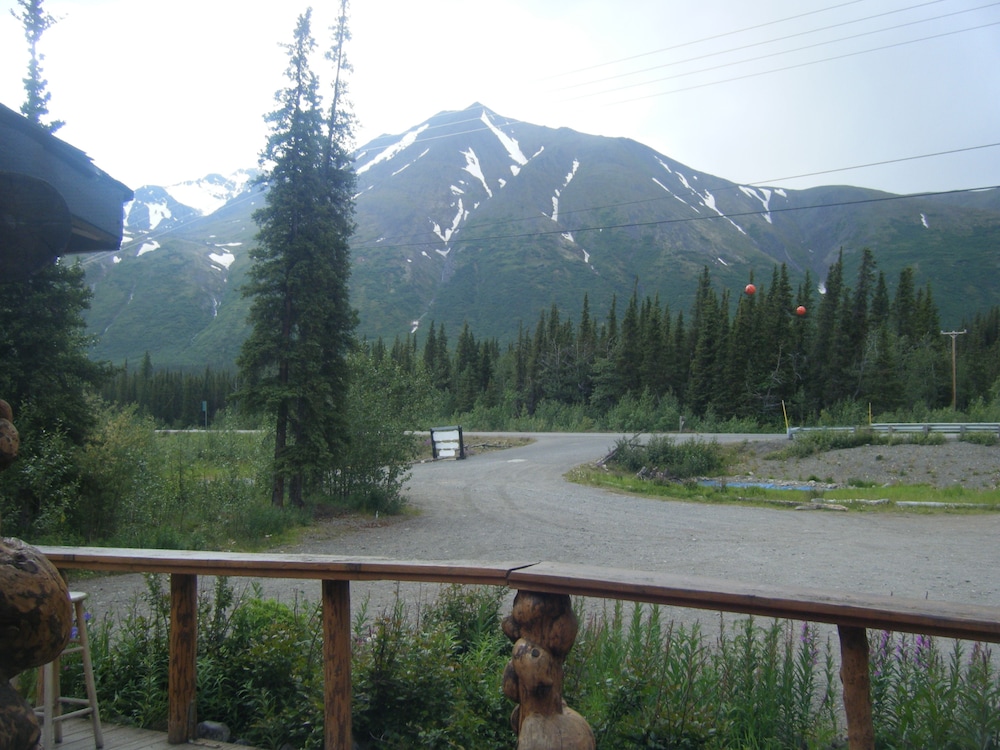 Denali Perch Resort - photo 34