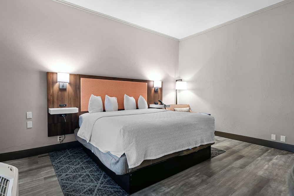 Hampton Inn Seguin - photo 12