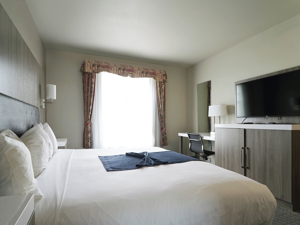 BayVue Hotel Resort and Suites - photo 27