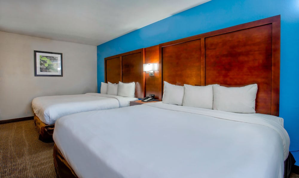 Motel6 Willcox AZ - photo 12