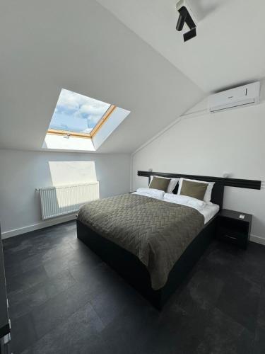 Panda Apartment Zorilor — 4-Star Luxury Hotel in Cluj-Napoca, Romania