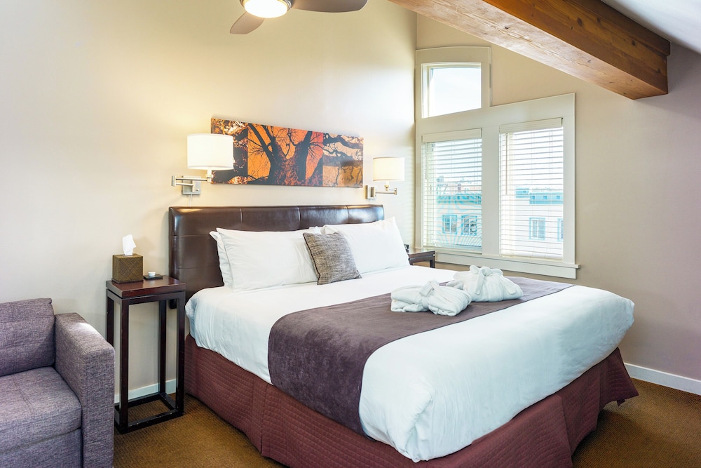 Bird Rock Hotel - photo 28