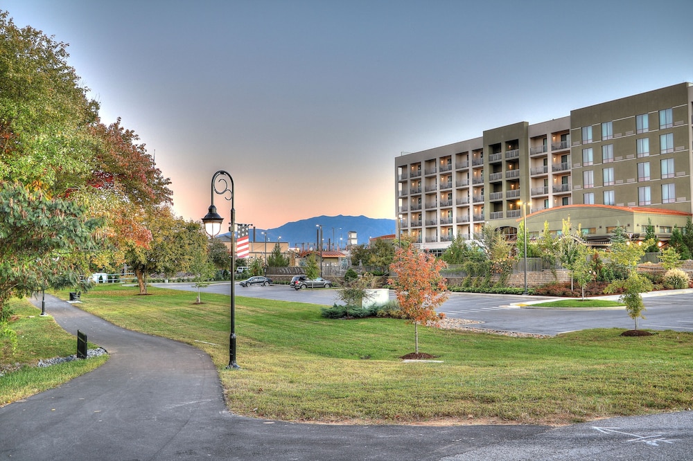 Courtyard by Marriott Pigeon Forge - photo 156