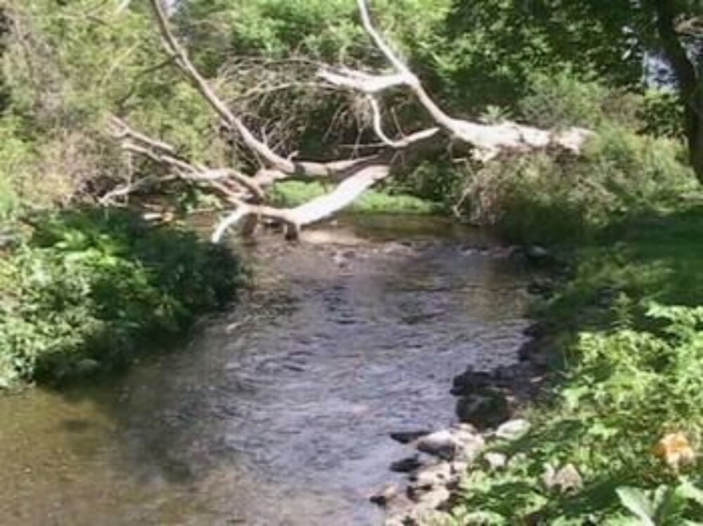 Hayden Creek Inn - photo 25