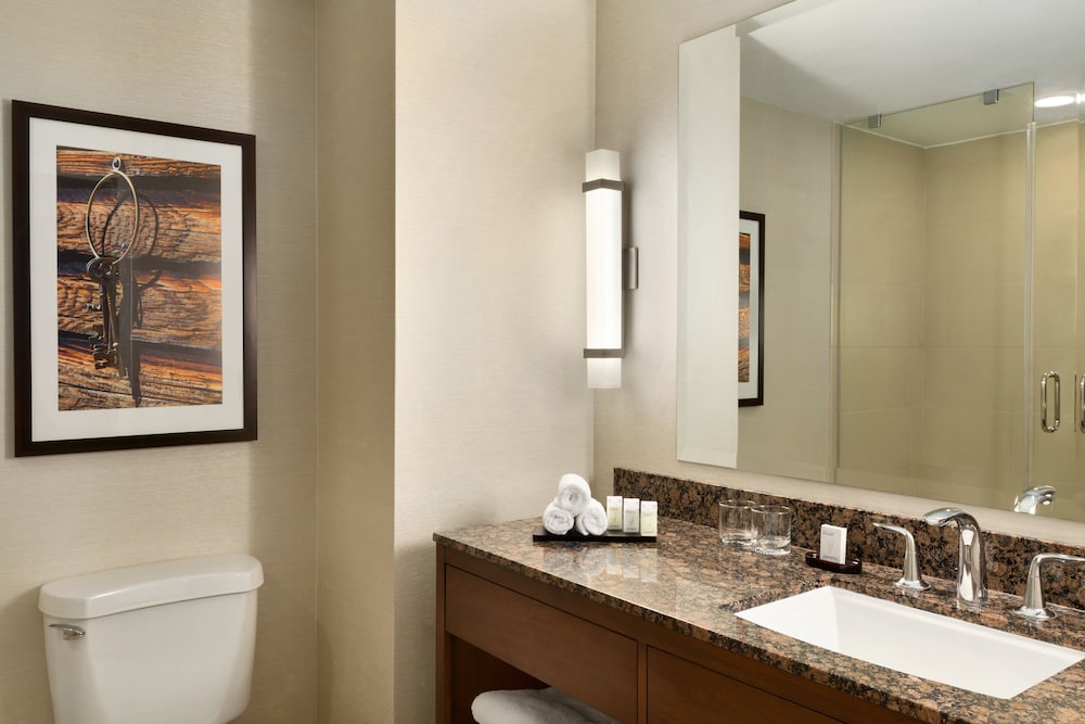 Embassy Suites by Hilton Dallas DFW Airport North - photo 36