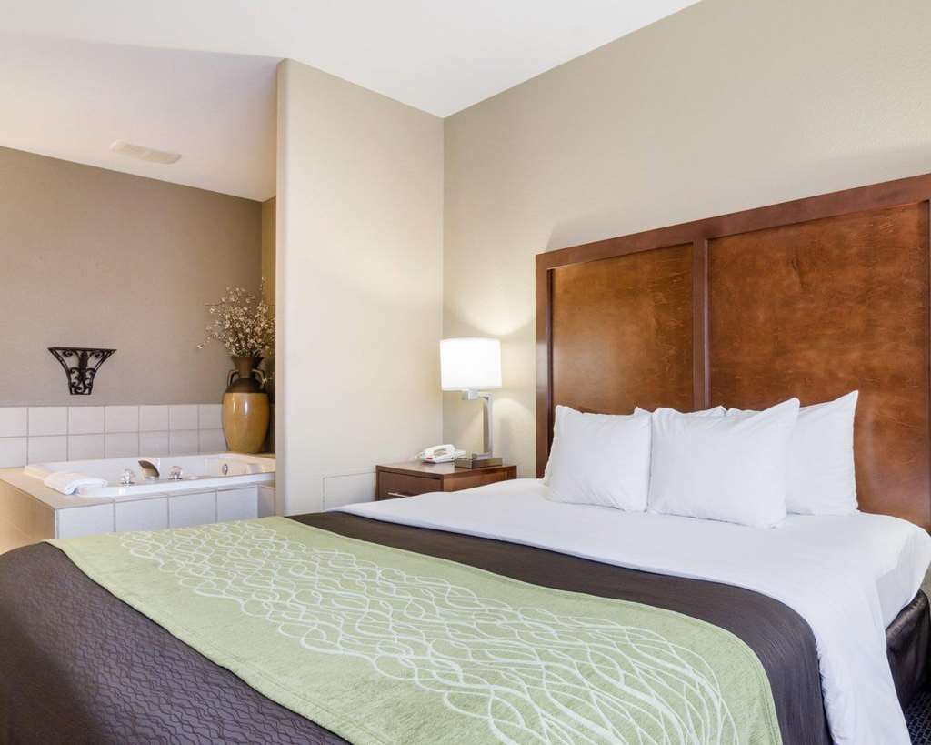 Comfort Inn Garden City - photo 23