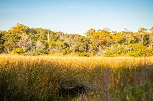 Beach 45 by Oak Island Accommodations - photo 27