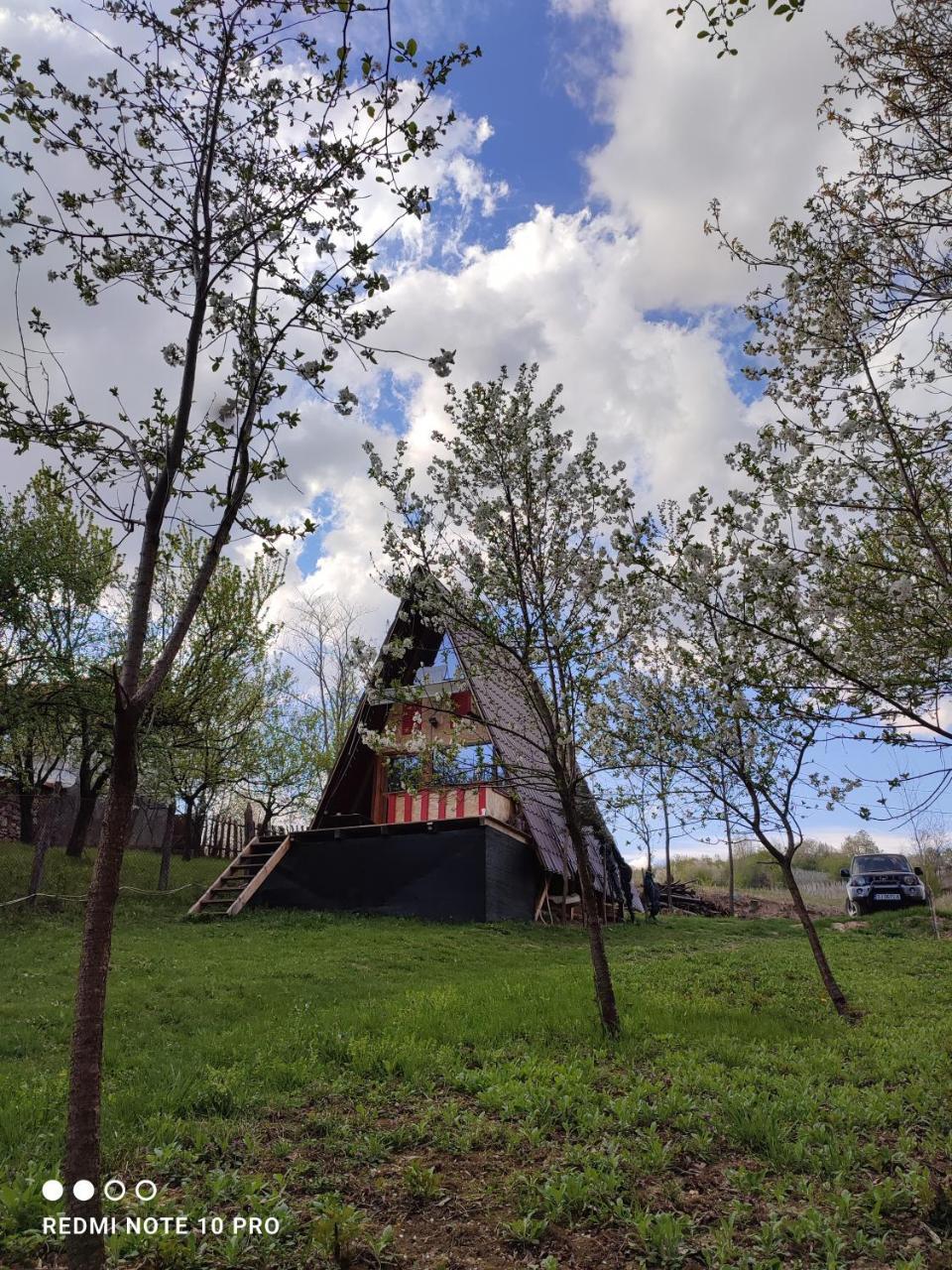 CabanuțA Young Valley in Unknown City, Romania
