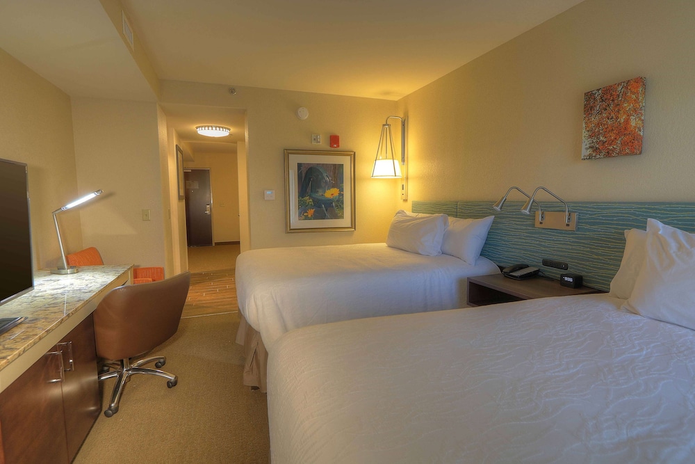 Hilton Garden Inn Pigeon Forge - photo 19