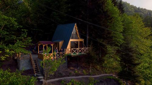 Forest House