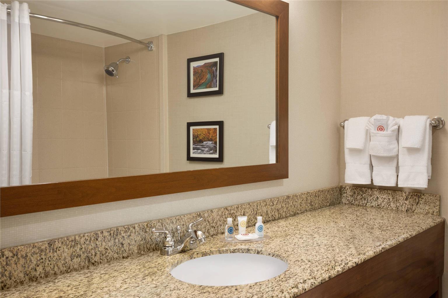 Comfort Inn & Suites Presidential Downtown Little Rock - photo 11
