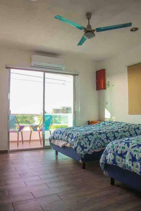 La Conchita de Sisal 4 — Sisal — photo 3