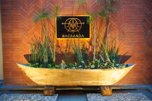 Bacaanda #1 - last minute hotel in Oaxaca