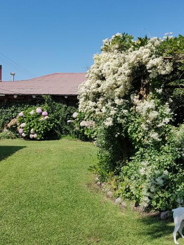 Sta. Marta B&B — Curico — photo 4