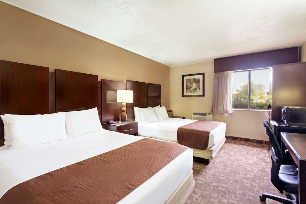 Rodeway Inn & Suites Chandler Phoenix South I 10 - photo 3