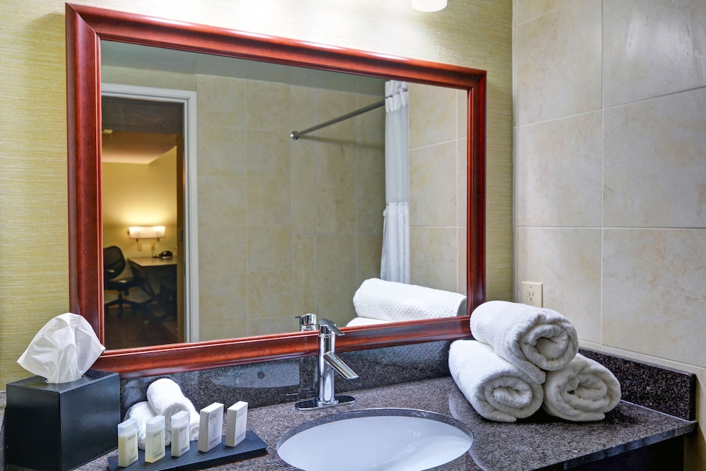 Embassy Suites by Hilton Valencia - photo 13