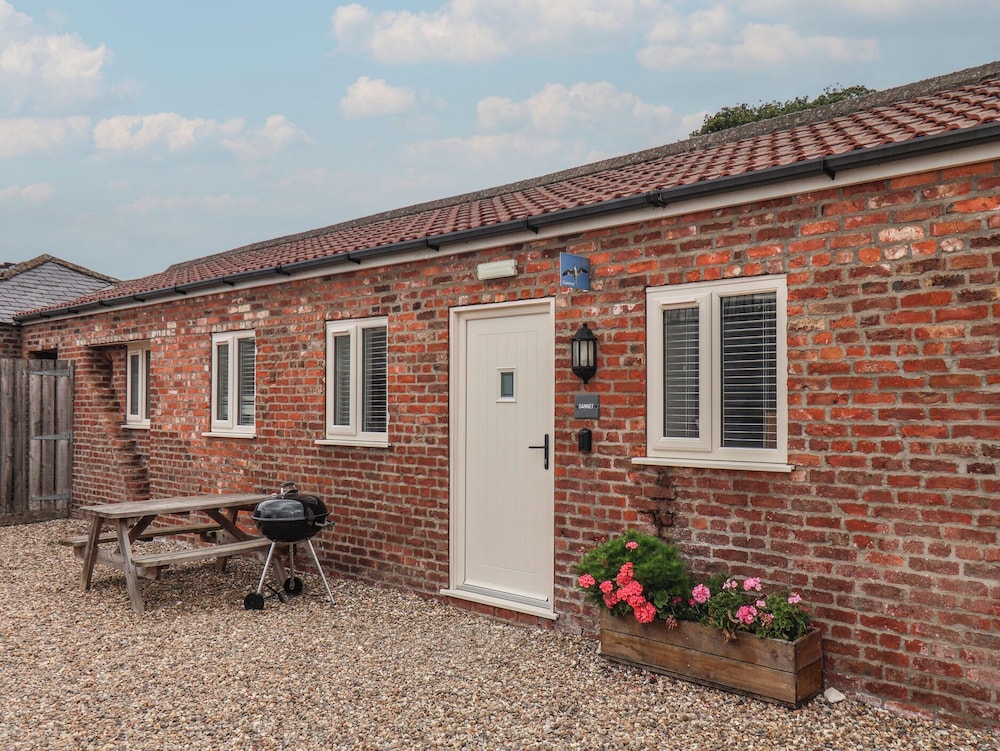 Gannet in Bridlington, United Kingdom