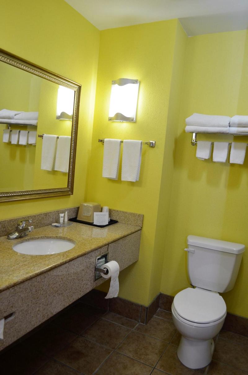 Baymont Inn And Suites Ringgold - photo 19