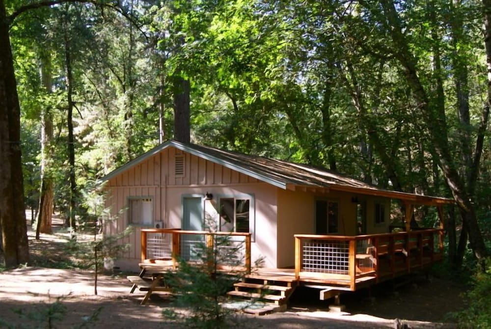 Pine Grove - photo 2