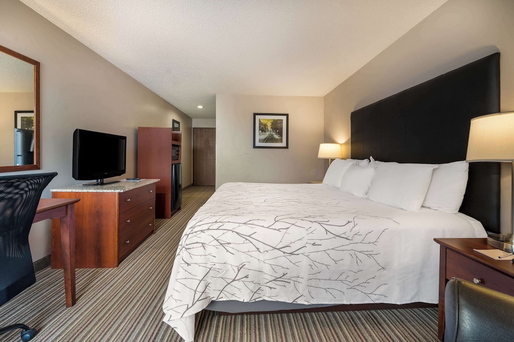 Best Western Park Oasis Inn - photo 29