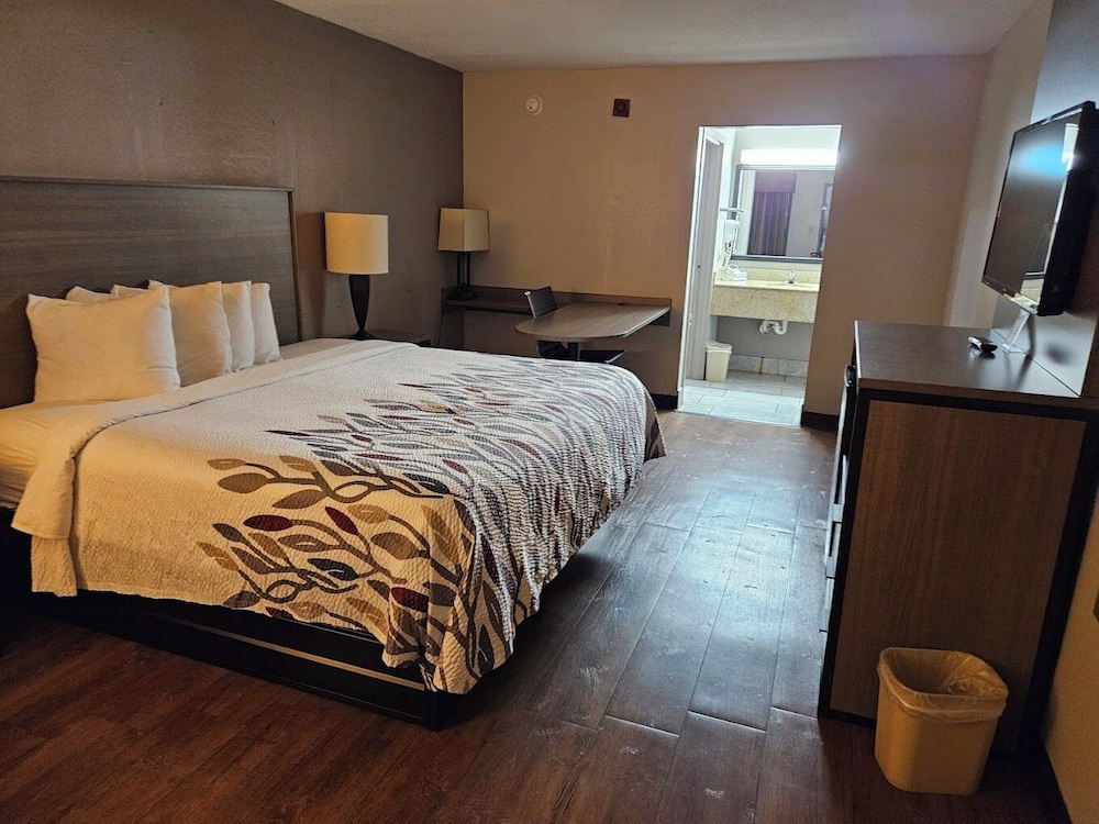 Red Roof Inn Savannah North I 95 Port Wentworth - photo 12