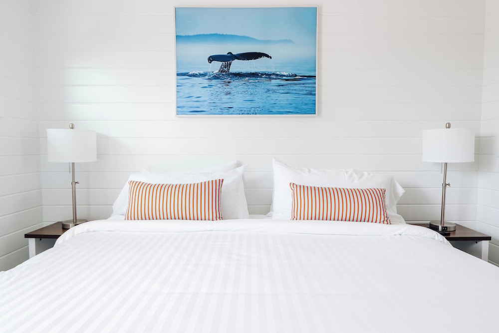 Driftwood Resort - photo 163