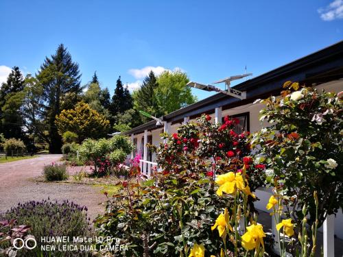 Amisfield motel in Tokoroa, New Zealand