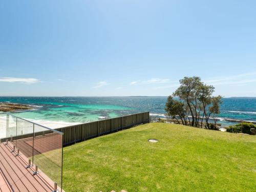 Bush Baby at Blenheim Beach Vincentia in Vincentia, Australia