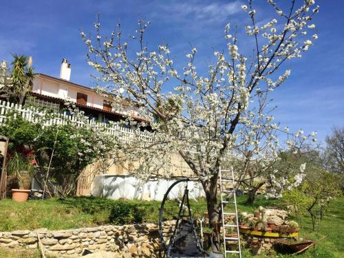 Elegant Villa in Treglio with Private Pool — 4-Star Luxury Hotel in Treglio, Italy