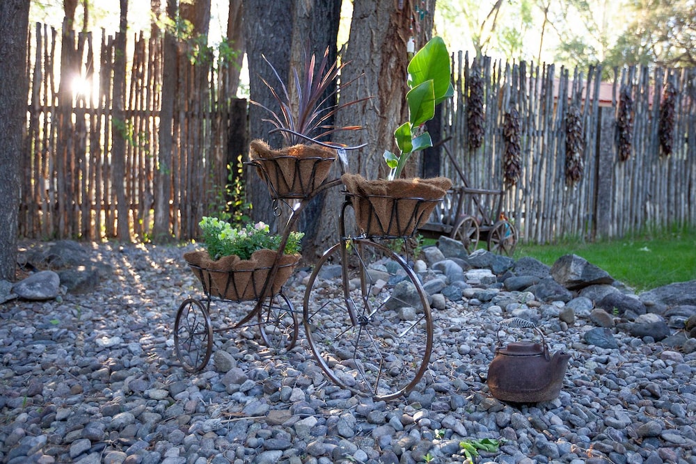 Dreamcatcher Bed and Breakfast - photo 118