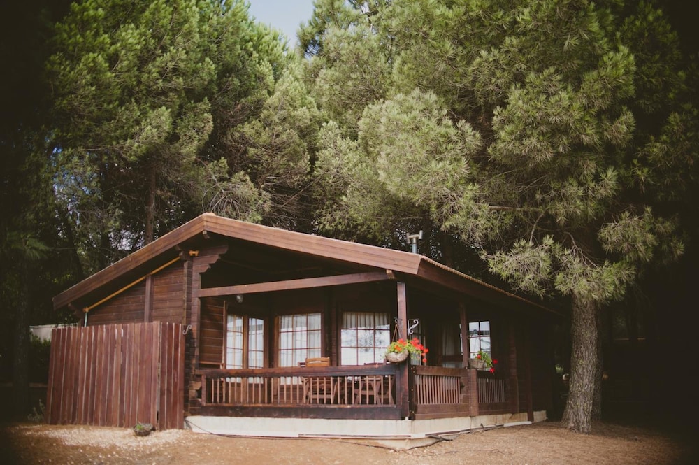 Kibbutz Ortal Tourism in Unknown City, Israel