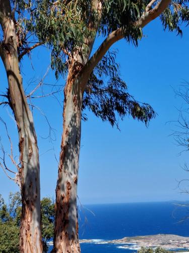 Lavatoggio in Lumio, France