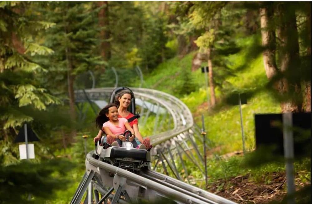 Snowmass Village by Gondola Resorts - photo 71