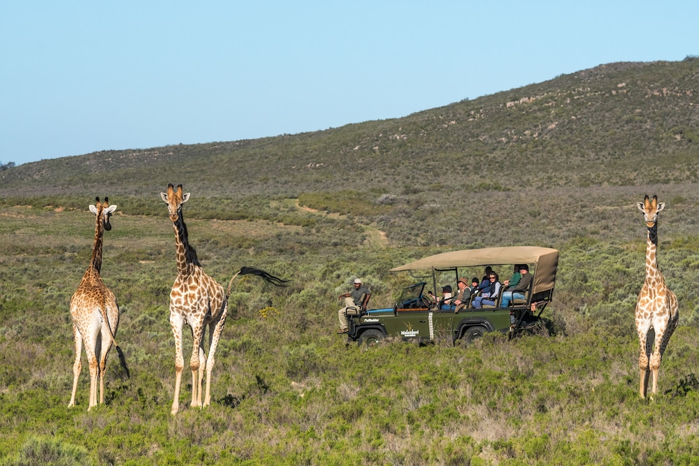 Melozhori Game Reserve in Robertson, South Africa