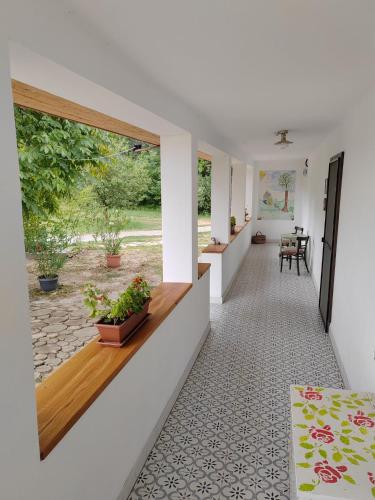 Parittyaház - carbon neutral hotel in Unknown City