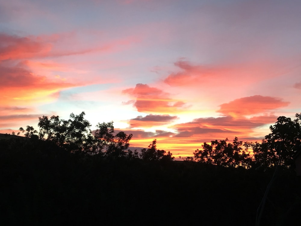 Hawaii Island Resort - photo 28