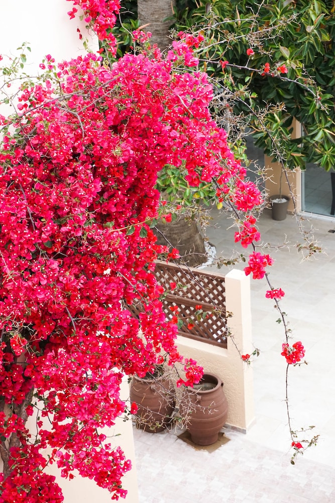 Dioni Hotel — Rethymno
