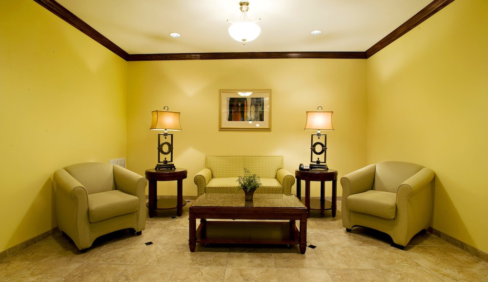 Holiday Inn Express & Suites Childress by IHG - photo 2