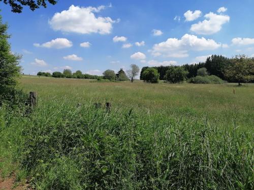 Blockbohlenhaus Steiner Lodge — Steinen — photo 5