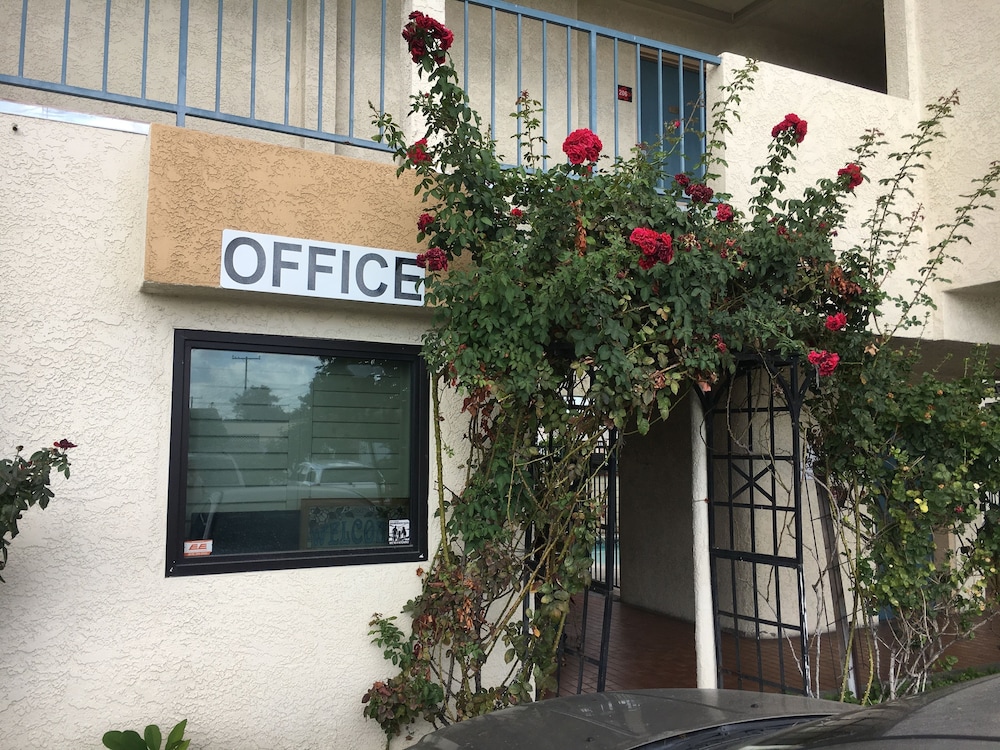 Bellflower Travel Inn - photo 55