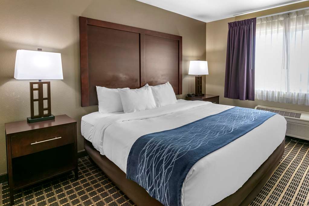 Comfort Inn Fort Collins North - photo 22