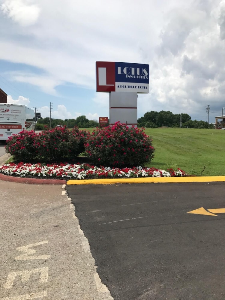Lotus Inn and Suites - photo 15
