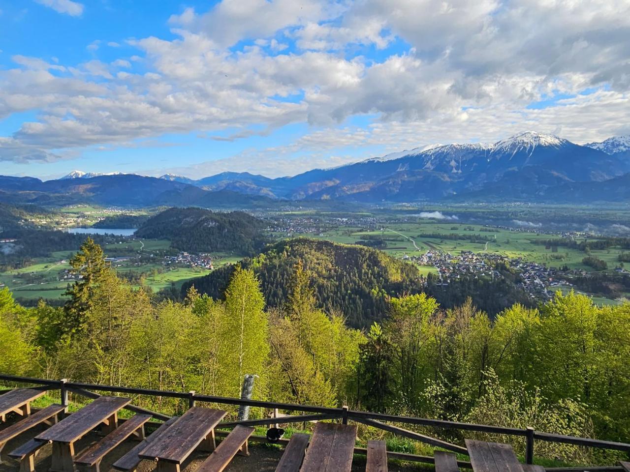 Koča na Taležu — Bled — photo 2